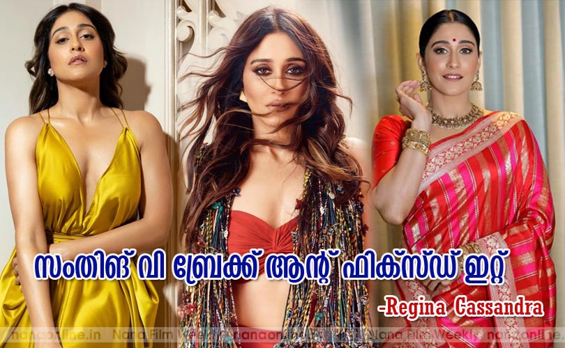 സംതിങ് വി ബ്രേക്ക് ആന്‍റ് ഫിക്സ്ഡ് ഇറ്റ് -Regina Cassandra