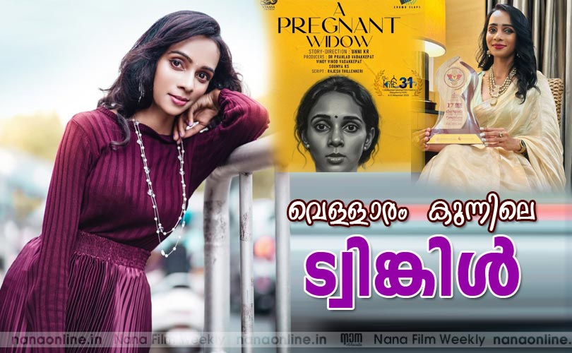 വെള്ളാരം കുന്നിലെ ട്വിങ്കിള്‍